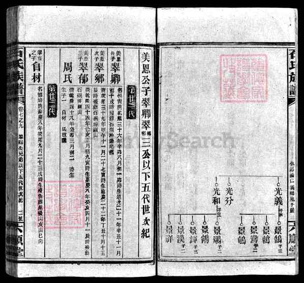 湖南邵阳武冈\湖南长沙宁乡\湖南娄底新化\湖南邵阳石氏族谱 [》卷数杂异]【59