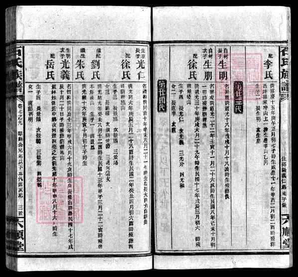 湖南邵阳武冈\湖南长沙宁乡\湖南娄底新化\湖南邵阳石氏族谱 [》卷数杂异]【59