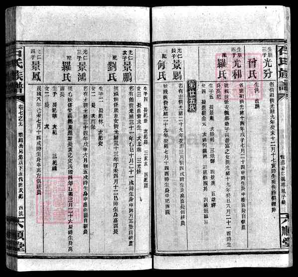 湖南邵阳武冈\湖南长沙宁乡\湖南娄底新化\湖南邵阳石氏族谱 [》卷数杂异]【59