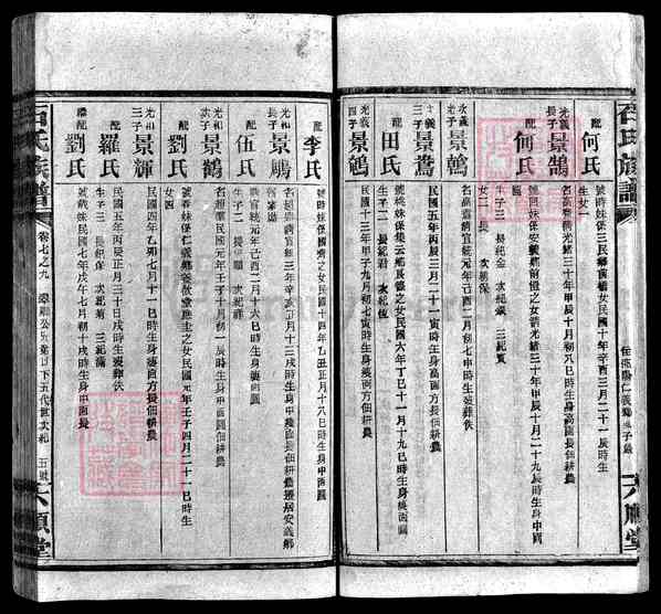 湖南邵阳武冈\湖南长沙宁乡\湖南娄底新化\湖南邵阳石氏族谱 [》卷数杂异]【59