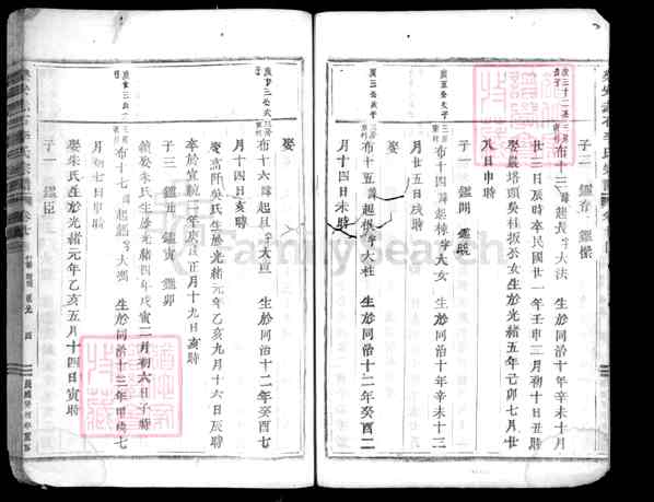 浙江台州仙居田镇乐安赤石李氏宗谱【乐安赤石李氏宗谱[20]1330-1934