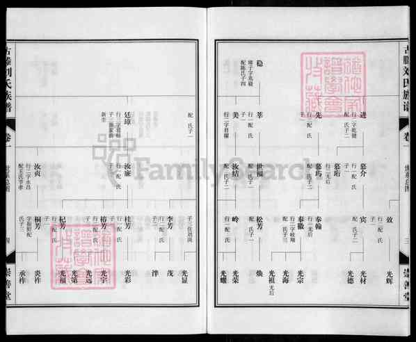 山东枣庄\山东枣庄滕州大坞镇古滕刘氏族谱【古藤刘氏族谱 》二十七卷 首一卷[2]1369-2014