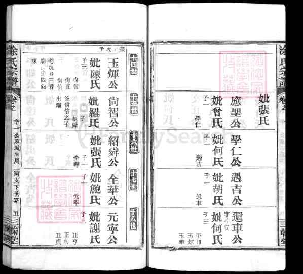 湖北黄冈麻城涂氏族谱【涂氏宗谱 》不分卷_首》二卷[5]1370-1946