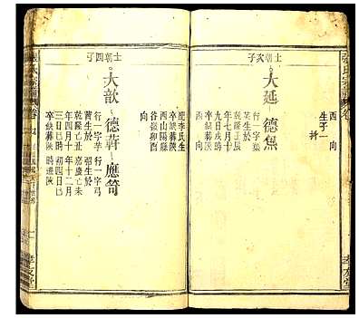 [张姓]中国（张氏家谱）张氏宗谱_第10册