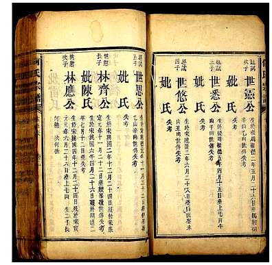 [何姓]湖南（何氏家谱）何氏宗谱_第1册