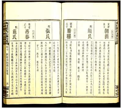 [罗姓]湖南（罗氏家谱）秧田罗氏五修宗谱[》27卷]（Yang Tian Luo Shi Wu Xiu|秧田罗氏五修宗谱）_第8册