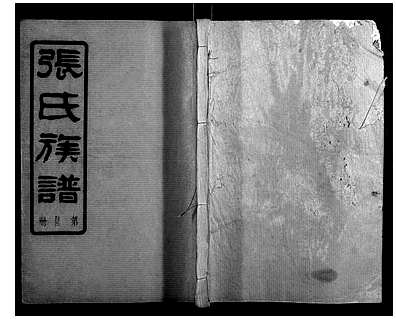 COPY_[张]湖南[张氏家谱]张氏族谱_第6册_ID1409617