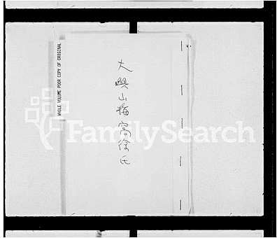 [徐姓]广东（徐氏家谱）徐氏族谱 ：大屿山梅窝