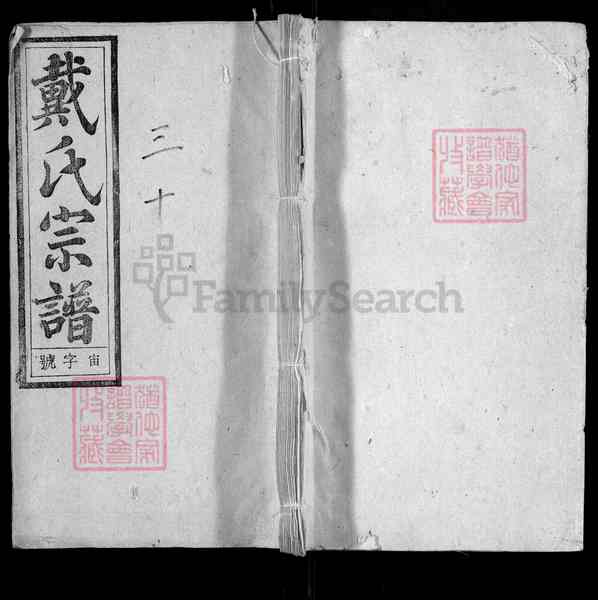 《安徽安庆潜山戴氏宗谱》031_戴氏宗谱 四十卷 首一卷 末一卷[31]1341-1922