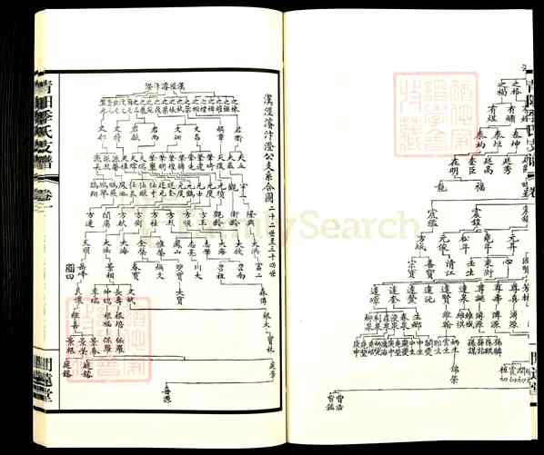 《江苏无锡江阴青阳镇青阳季氏支谱》002_青阳季氏支谱[2]1916