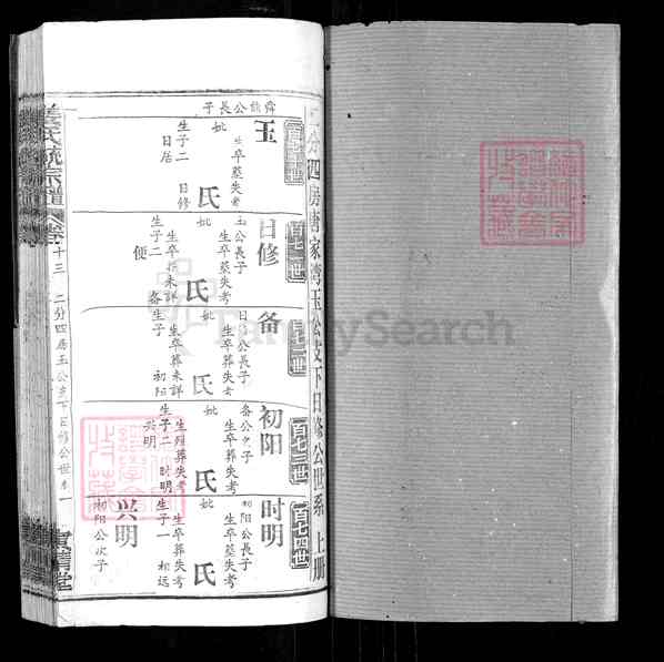 《湖北鄂州华容区华容镇姜氏统宗谱》013_姜氏统宗谱 四十三卷首四卷特卷三卷[20]1350-1993