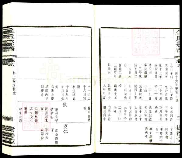 《江苏常州武进牛塘镇金氏宗谱》006_金氏宗谱[6]2016