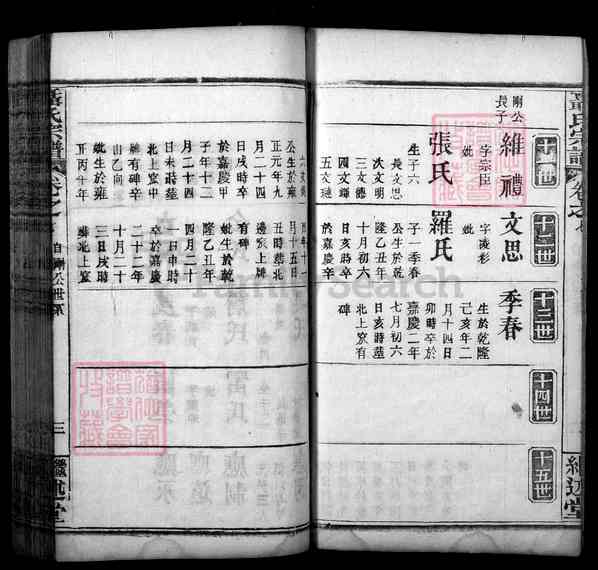 《湖北武汉新洲区聂氏宗谱》009_聂氏宗谱[9]1945