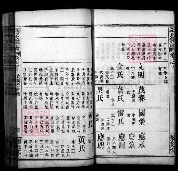 《湖北武汉新洲区聂氏宗谱》009_聂氏宗谱[9]1945