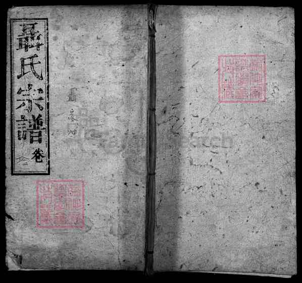 《湖北武汉新洲区聂氏宗谱》012_聂氏宗谱[12]1945