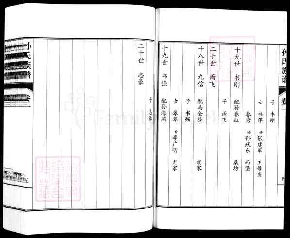 《山东德州乐陵铁营镇孙氏族谱》003_孙氏宗谱[3]2014