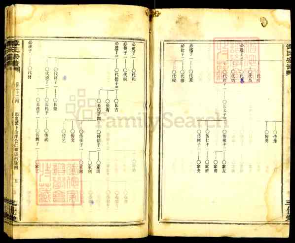 《湖南郴州桂阳荷叶镇谭氏宗谱》045_谭氏宗谱[45]1991