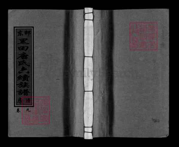 《湖南邵阳邵东黑田唐氏六续族谱》001_邵东黑田唐氏六续族谱 各房分卷 首二卷[93]1622-2010