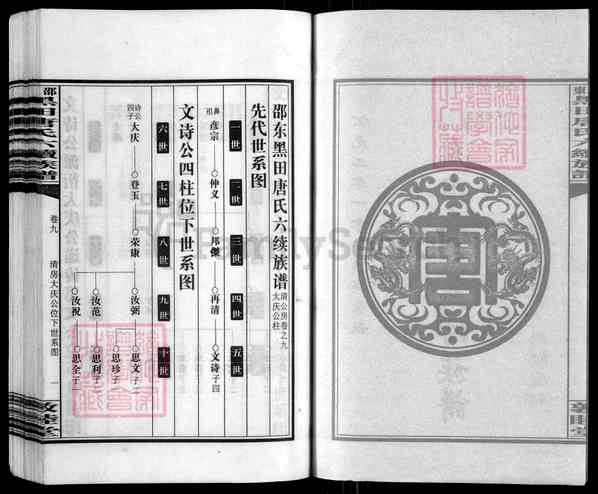 《湖南邵阳邵东黑田唐氏六续族谱》001_邵东黑田唐氏六续族谱 各房分卷 首二卷[93]1622-2010