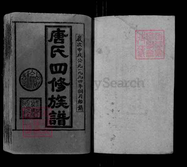 《湖南邵阳唐氏四修族谱》001_唐氏四修族谱[1]1995