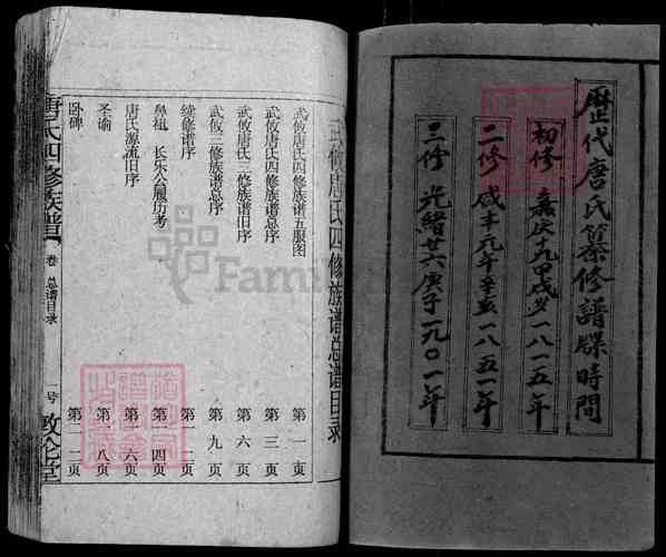 《湖南邵阳唐氏四修族谱》001_唐氏四修族谱[1]1995