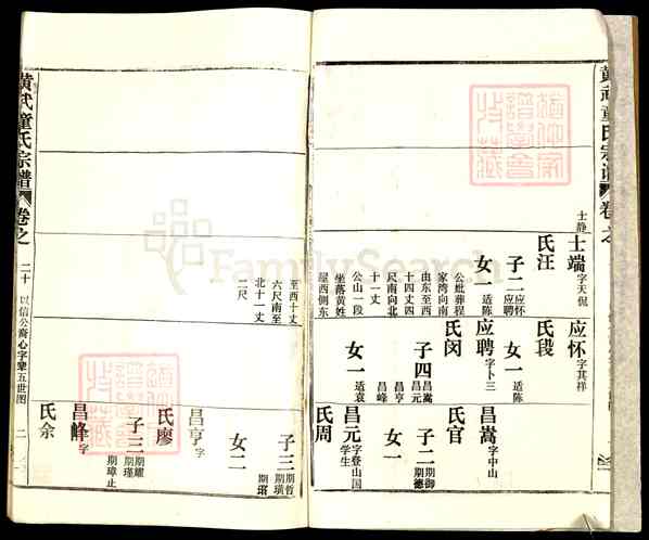 《湖北武汉新洲区辛冲街道黄武童氏宗谱》024_黄武童氏宗谱[28卷首3卷][24]1991
