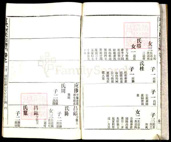 《湖北武汉新洲区辛冲街道黄武童氏宗谱》024_黄武童氏宗谱[28卷首3卷][24]1991