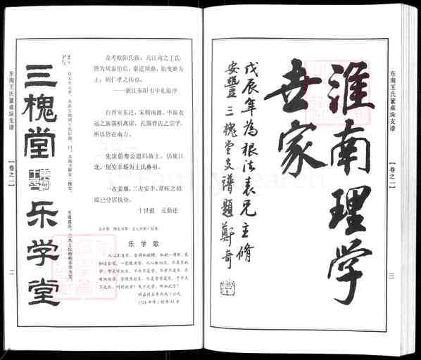 《江苏南通海安曲塘镇东淘王氏董桌垛支谱》001_东淘王氏董卓垛支谱 二卷[1]1609-2010