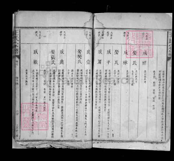 《江西上饶余干东塘乡王氏宗谱》010_王氏宗谱 [9]1323-1922