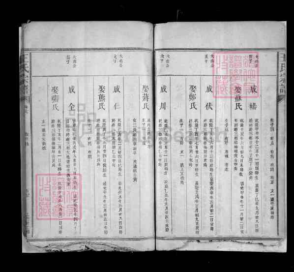 《江西上饶余干东塘乡王氏宗谱》010_王氏宗谱 [9]1323-1922
