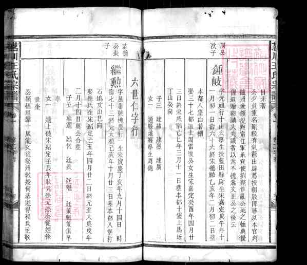 《江西上饶广丰区泉波镇茗川王氏宗谱》007_茗川王氏宗谱 十卷首一卷纲三卷[5]1144-1916