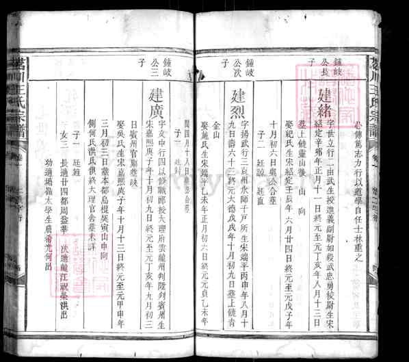 《江西上饶广丰区泉波镇茗川王氏宗谱》007_茗川王氏宗谱 十卷首一卷纲三卷[5]1144-1916