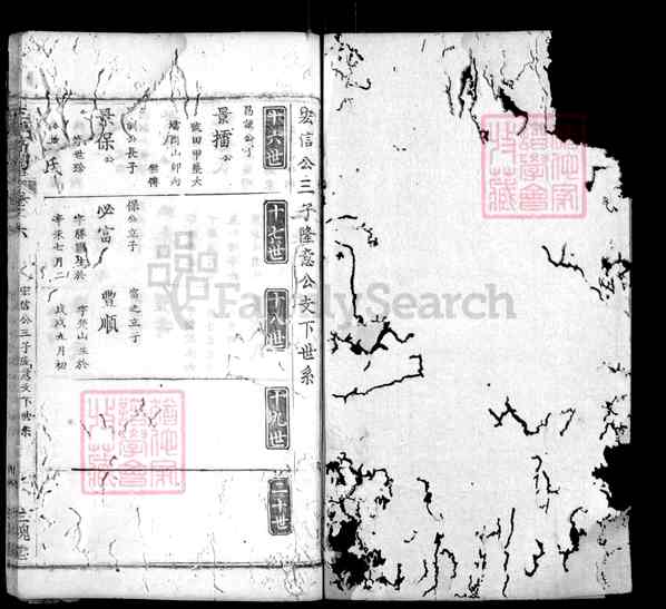 《湖北黄冈团风团风镇王杨宗谱》009_王杨宗谱 八卷首二卷[8]1365-1880