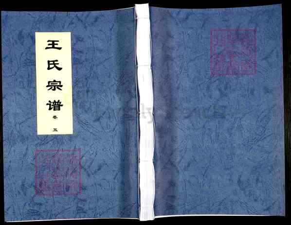 《安徽合肥肥东店埠镇王氏宗谱》005_王氏宗谱[5]卷5_1581-2006