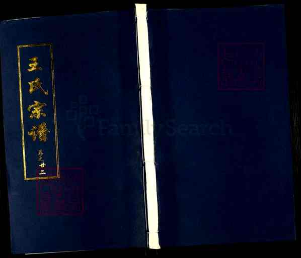 《湖北黄冈王氏宗谱》024_王氏宗谱[24]卷22_2704 BC-2011