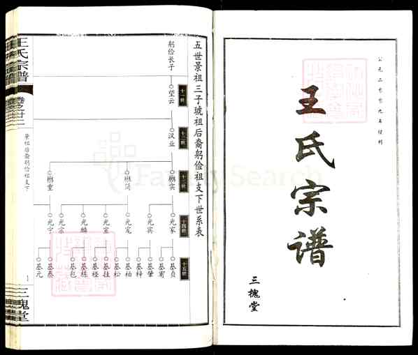 《湖北黄冈王氏宗谱》024_王氏宗谱[24]卷22_2704 BC-2011