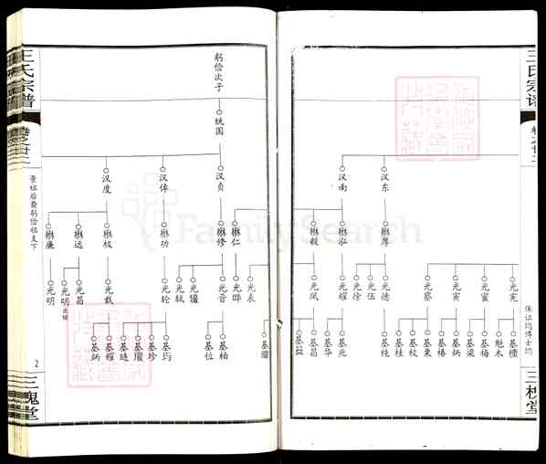《湖北黄冈王氏宗谱》024_王氏宗谱[24]卷22_2704 BC-2011