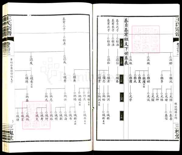 《湖北黄冈王氏宗谱》024_王氏宗谱[24]卷22_2704 BC-2011