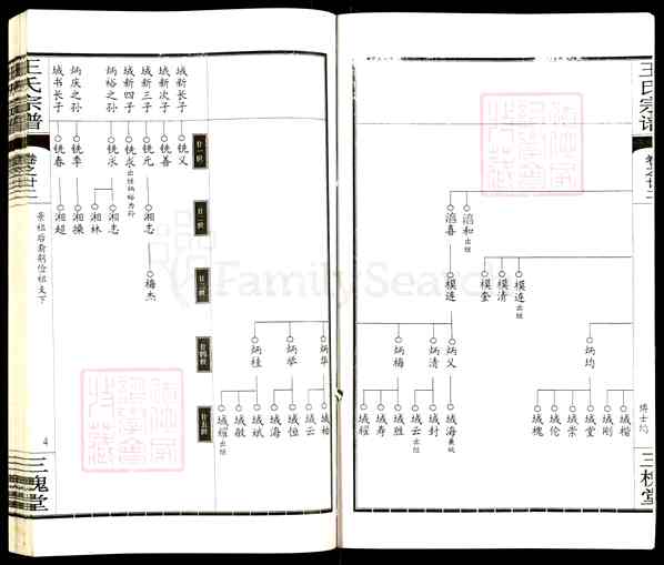 《湖北黄冈王氏宗谱》024_王氏宗谱[24]卷22_2704 BC-2011