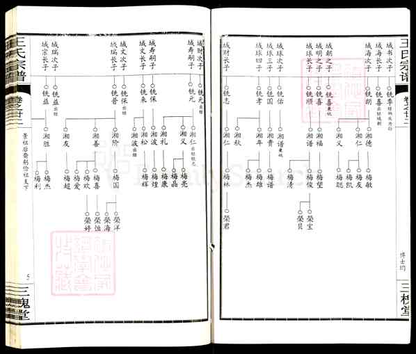 《湖北黄冈王氏宗谱》024_王氏宗谱[24]卷22_2704 BC-2011