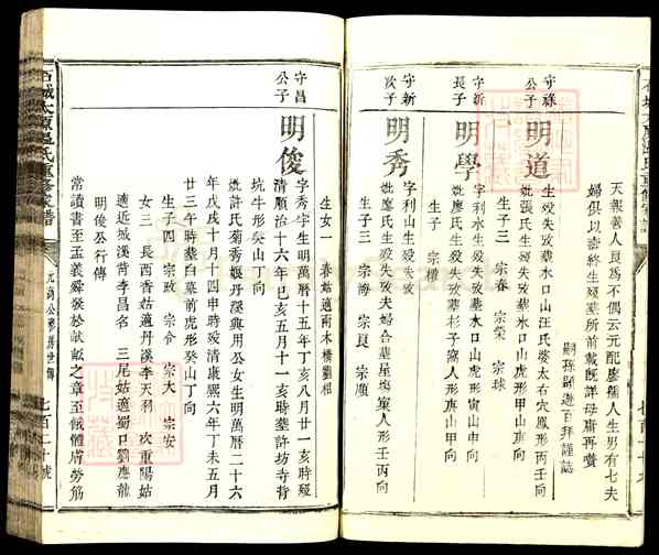 《江西赣州石城琴江镇石城太原温氏重修家谱》008_石城太原温氏重修家谱[8]912-1770