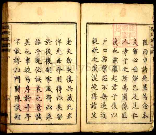 《湖南郴州桂阳吴氏族谱》001_吴氏族谱[1]1924