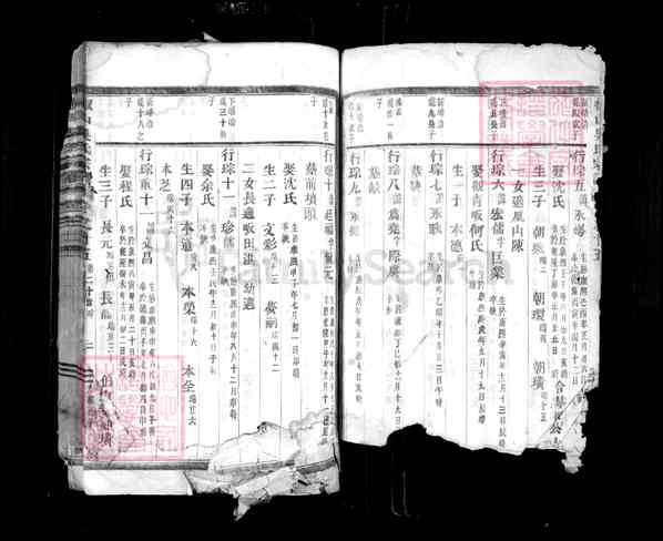 《浙江金华椒山吴氏宗谱》005_椒山吴氏宗谱[6]1876