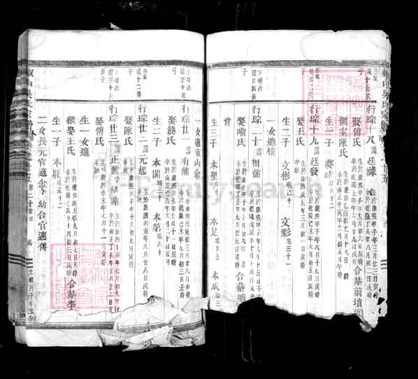 《浙江金华椒山吴氏宗谱》005_椒山吴氏宗谱[6]1876