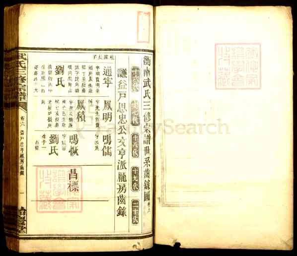 《湖南衡阳衡南武氏三修宗谱》004_武氏三修族谱[4]1917