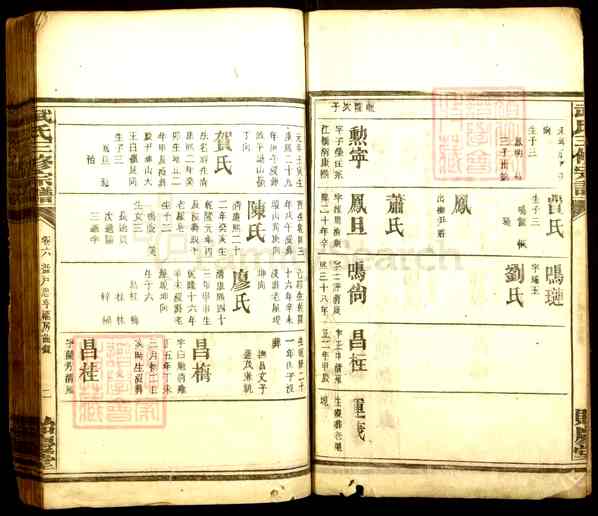 《湖南衡阳衡南武氏三修宗谱》004_武氏三修族谱[4]1917