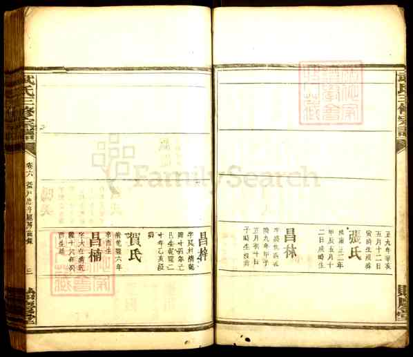 《湖南衡阳衡南武氏三修宗谱》004_武氏三修族谱[4]1917