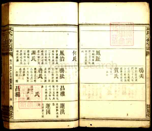 《湖南衡阳衡南武氏三修宗谱》004_武氏三修族谱[4]1917
