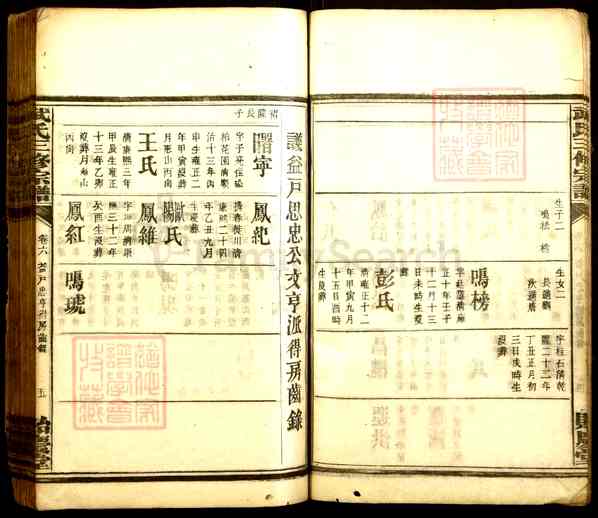 《湖南衡阳衡南武氏三修宗谱》004_武氏三修族谱[4]1917