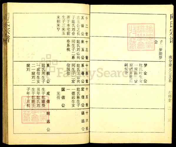 《湖北仙桃向氏宗谱》037_向氏宗谱[38] 鼎元公本房支系_太定2-1988